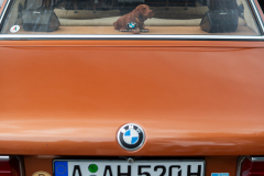 bmw_meets_classic_2024_123